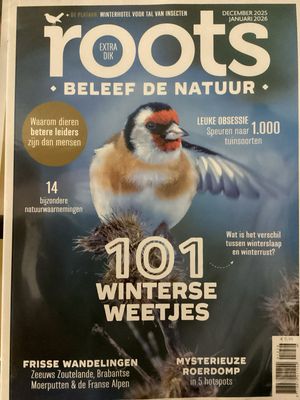 ROOTS + KALENDER #45669