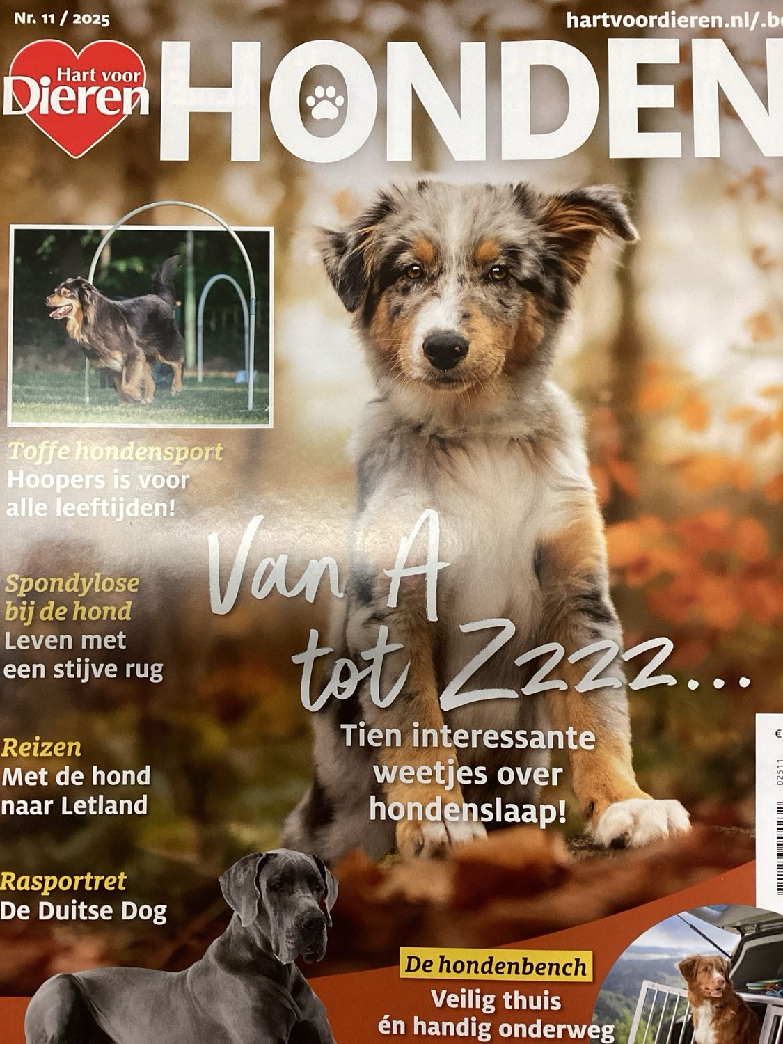 HART VOOR DIEREN #11