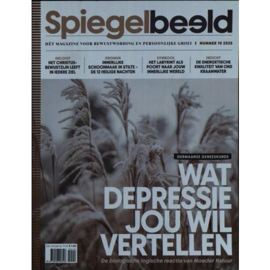SPIEGELBEELD #2510