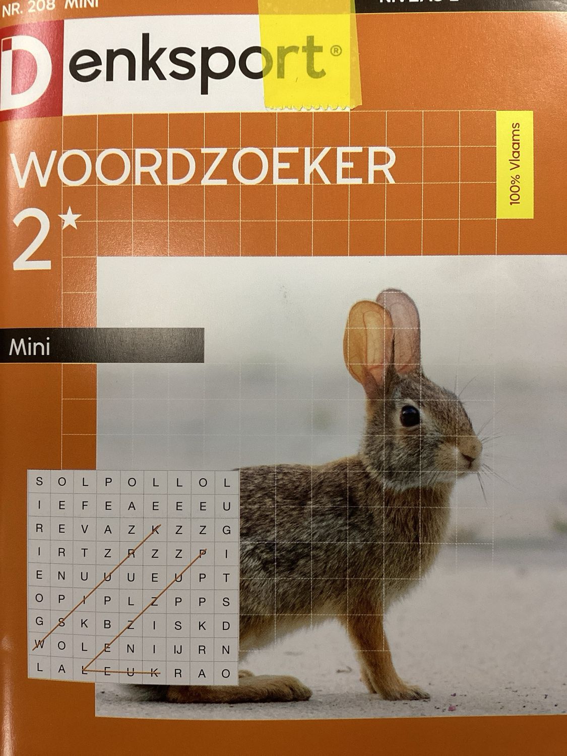 DS WOORDZOEKER MINI #208