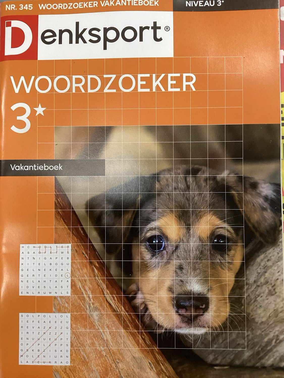 DS WOORDZOEKER VAKANTIEBO #345