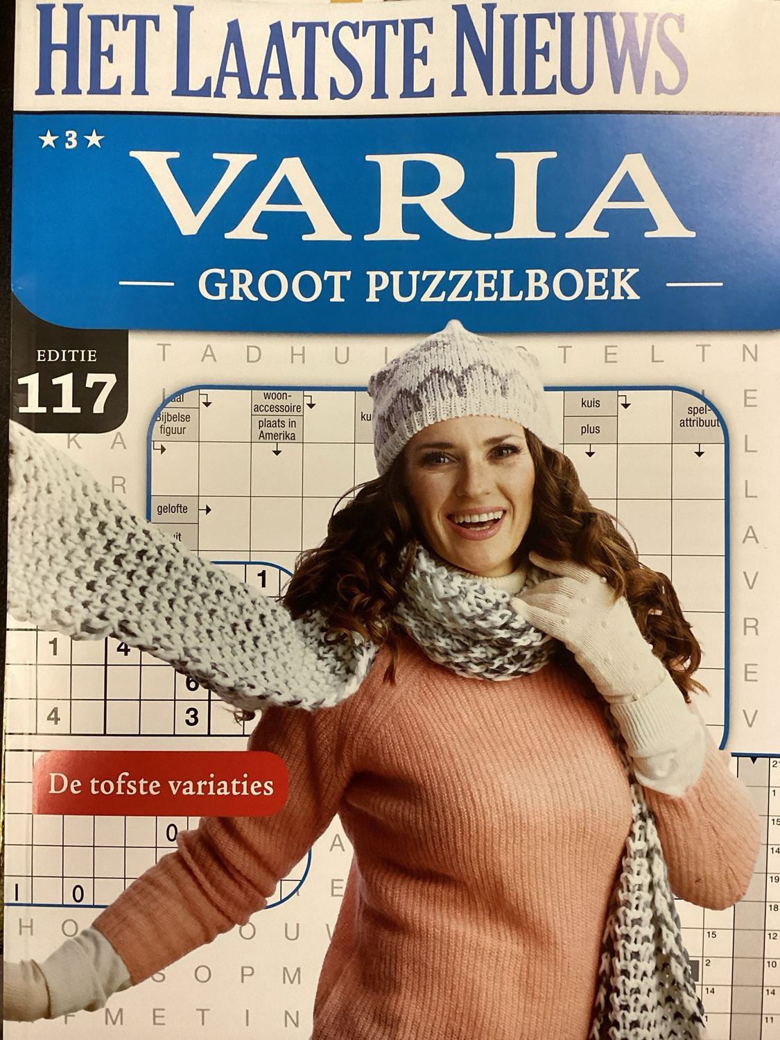 HLN GROOT PUZZELBOEK VARI #117