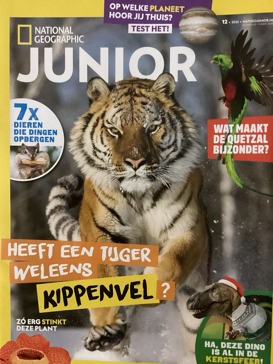 NATIONAL GEOGRAPHIC JUNIO #12