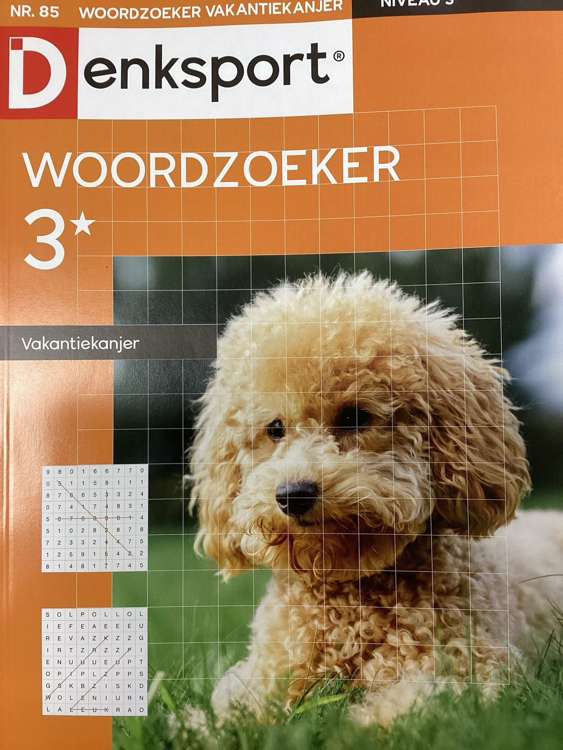 DS WOORDZOEKER VAK.KANJER #85