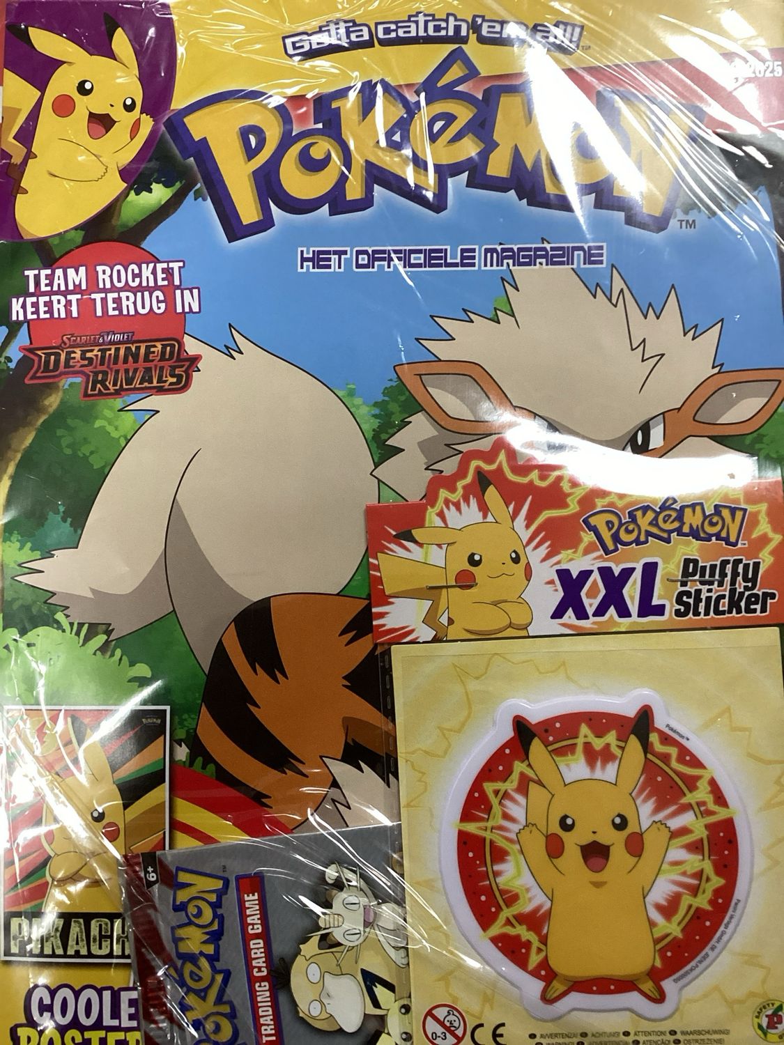 POKEMON MAG #8