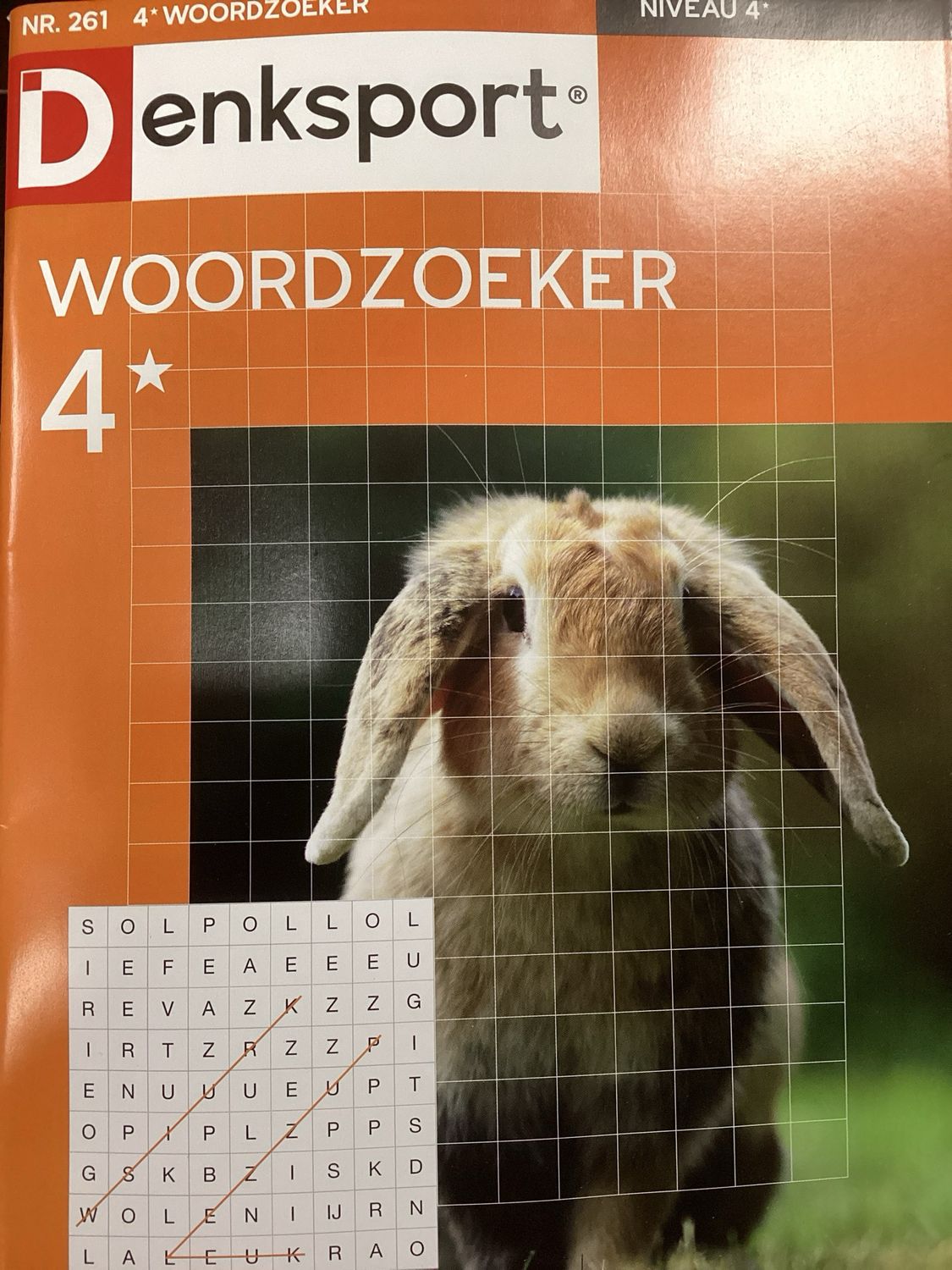 DS 4* WOORDZOEKERS #261