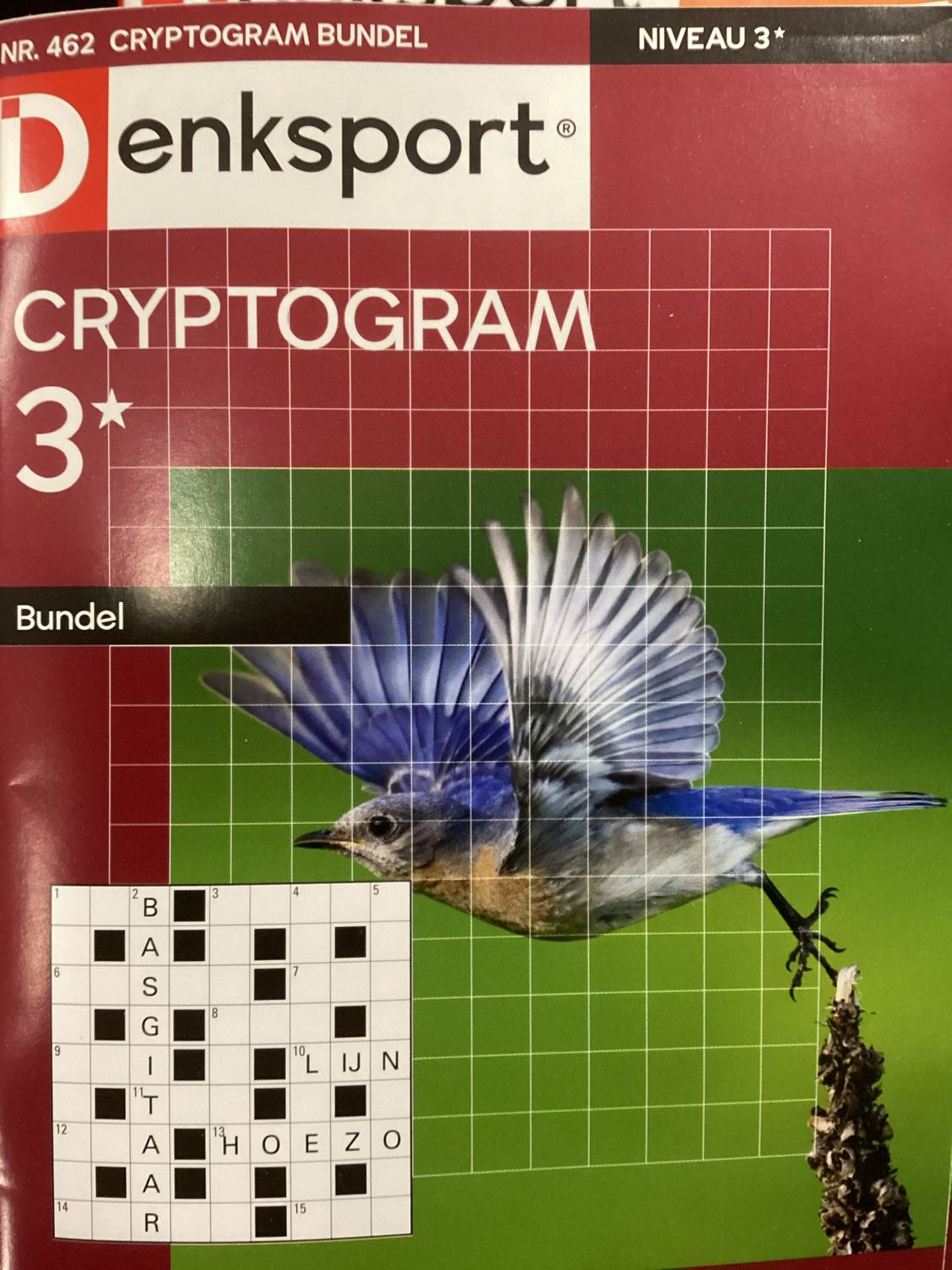 DS CRYPTOGRAMMENBUNDEL #462