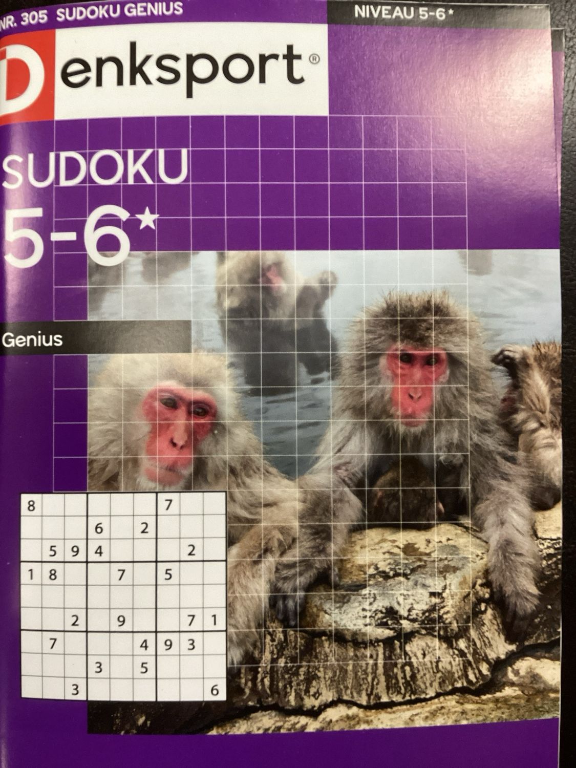 DS SUDOKU GENIUS #305