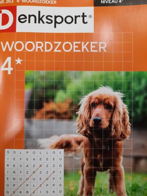 DS 4* WOORDZOEKERS #263