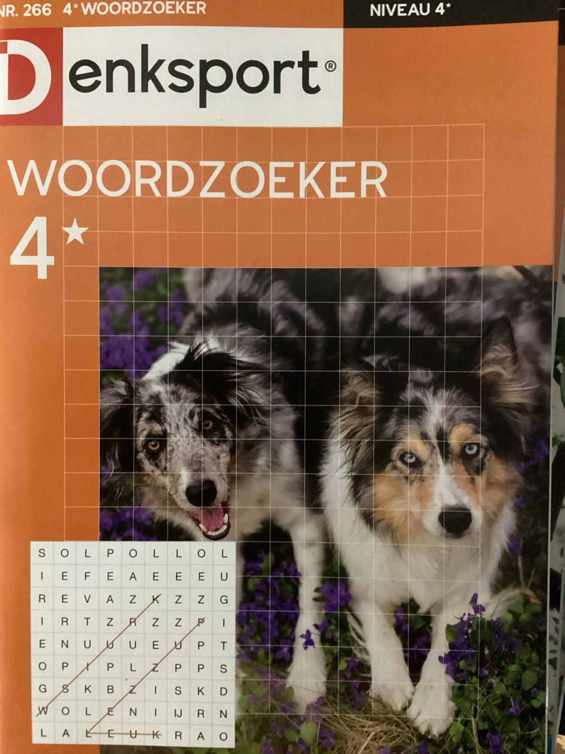 DS 4* WOORDZOEKERS #266