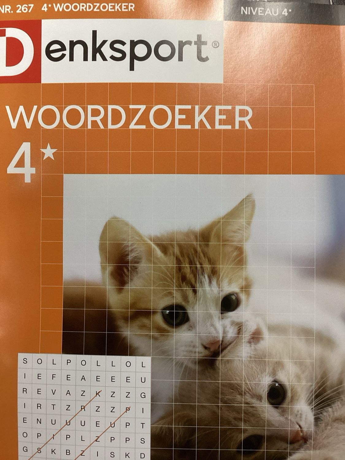 DS 4* WOORDZOEKERS #267