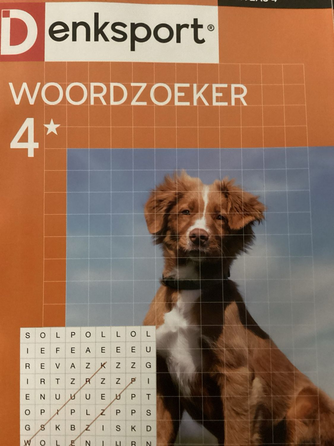 DS 4* WOORDZOEKERS #268