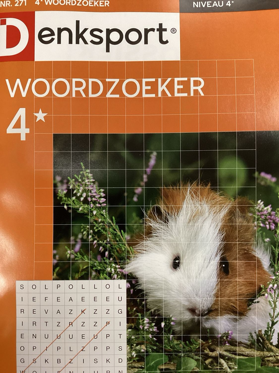 DS 4* WOORDZOEKERS #271