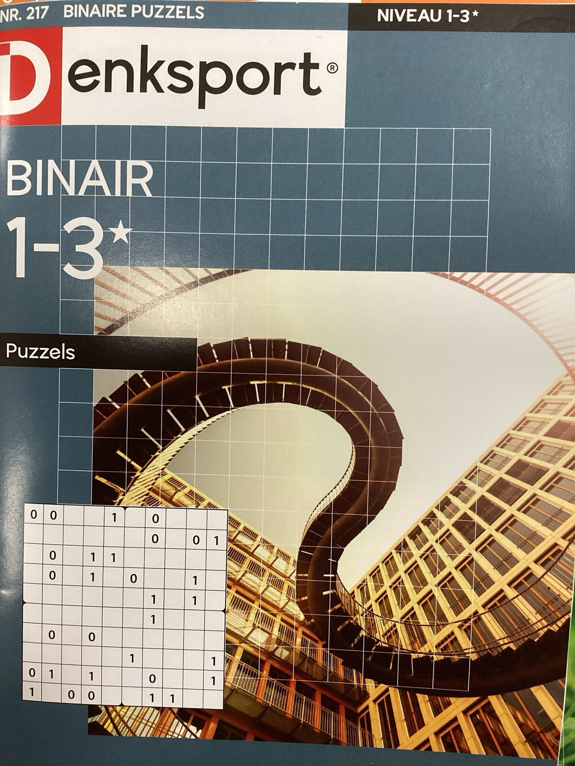 DS BINAIRE PUZZELS #217