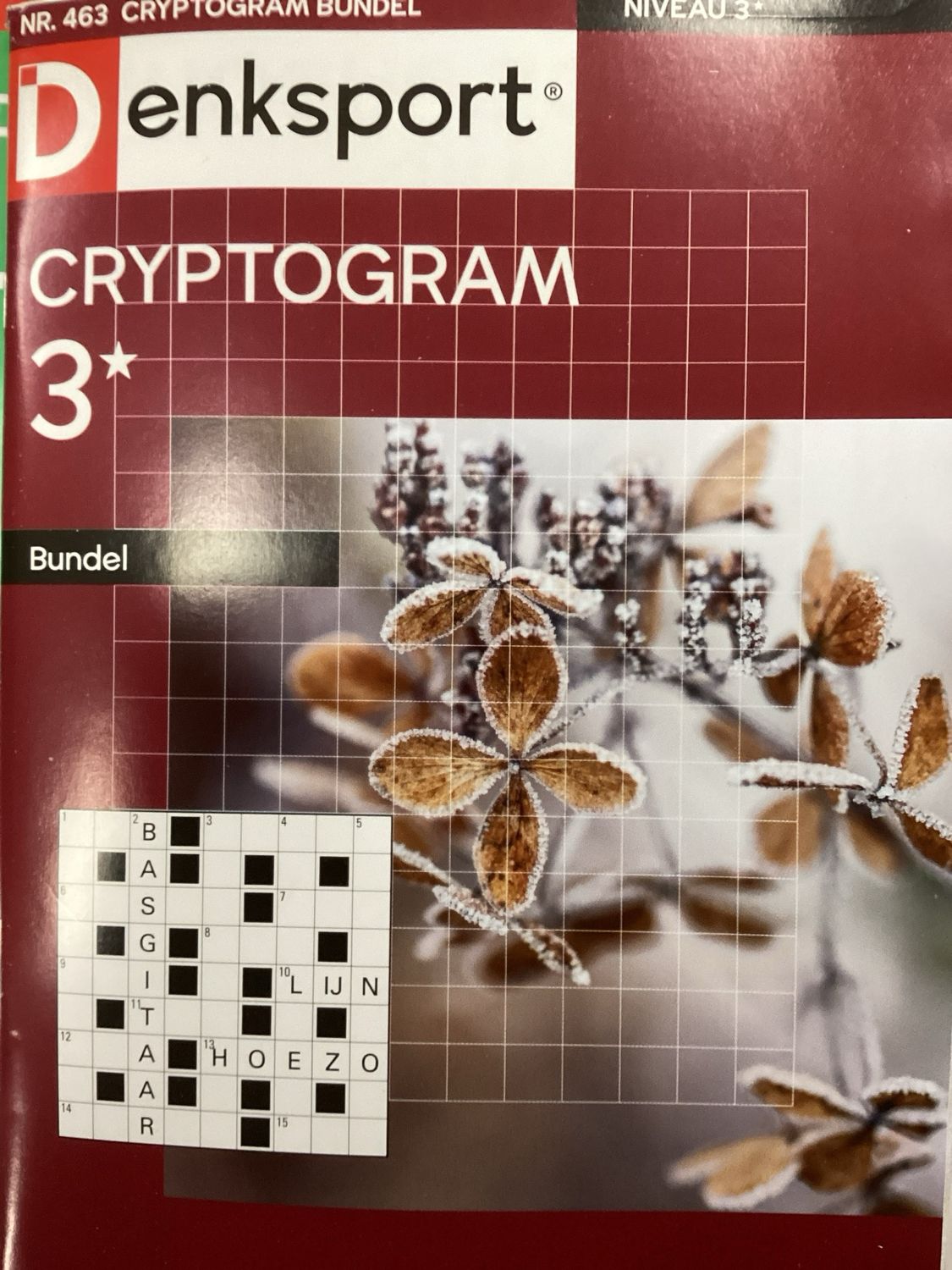 DS CRYPTOGRAMMENBUNDEL #463