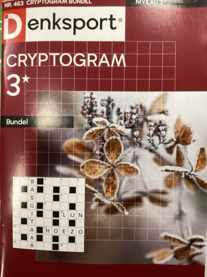 DS CRYPTOGRAMMENBUNDEL #463