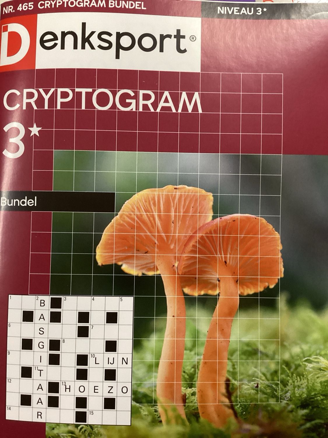 DS CRYPTOGRAMMENBUNDEL #465