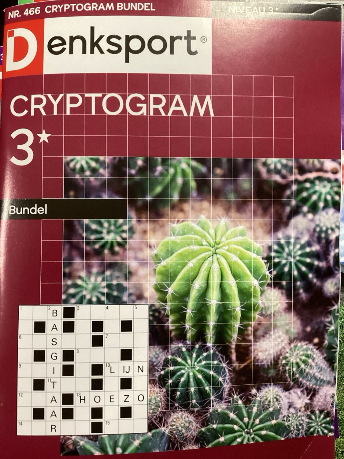 DS CRYPTOGRAMMENBUNDEL #466