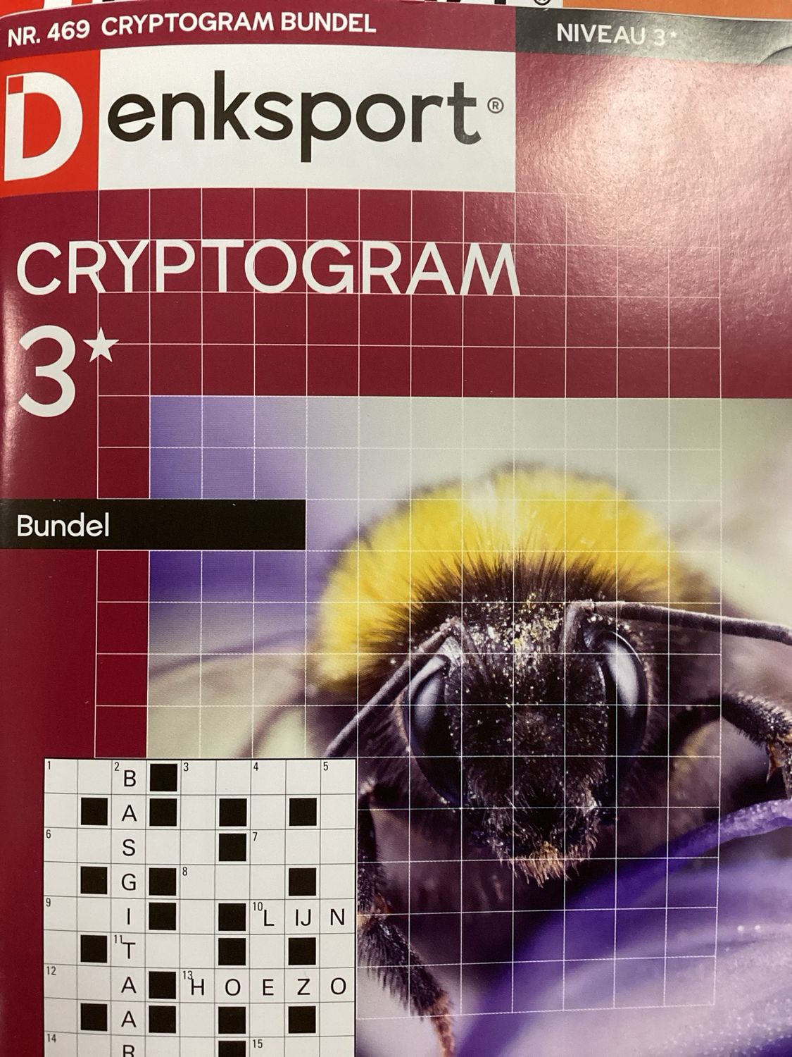 DS CRYPTOGRAMMENBUNDEL #469