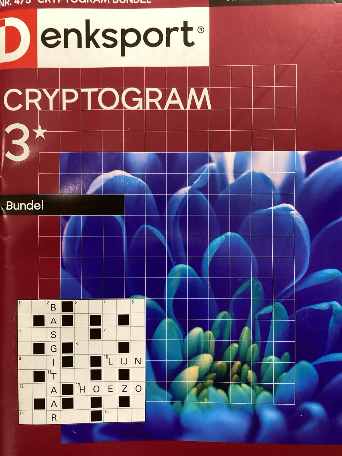 DS CRYPTOGRAMMENBUNDEL #475