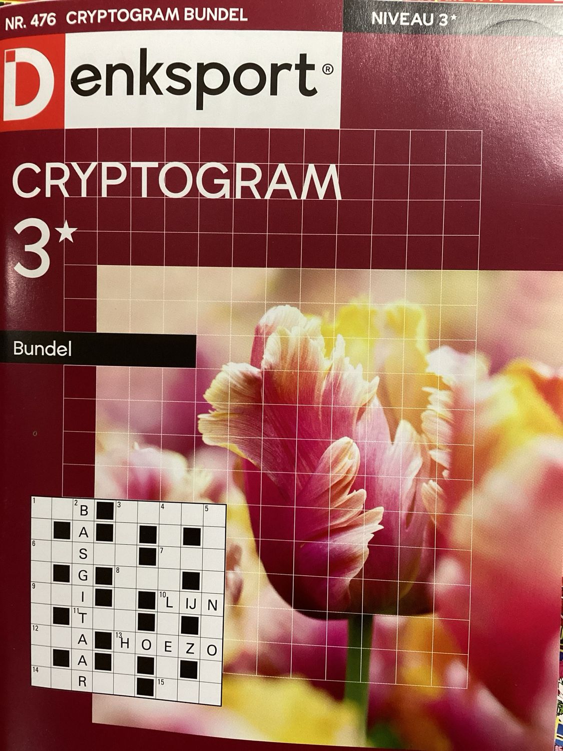 DS CRYPTOGRAMMENBUNDEL #476