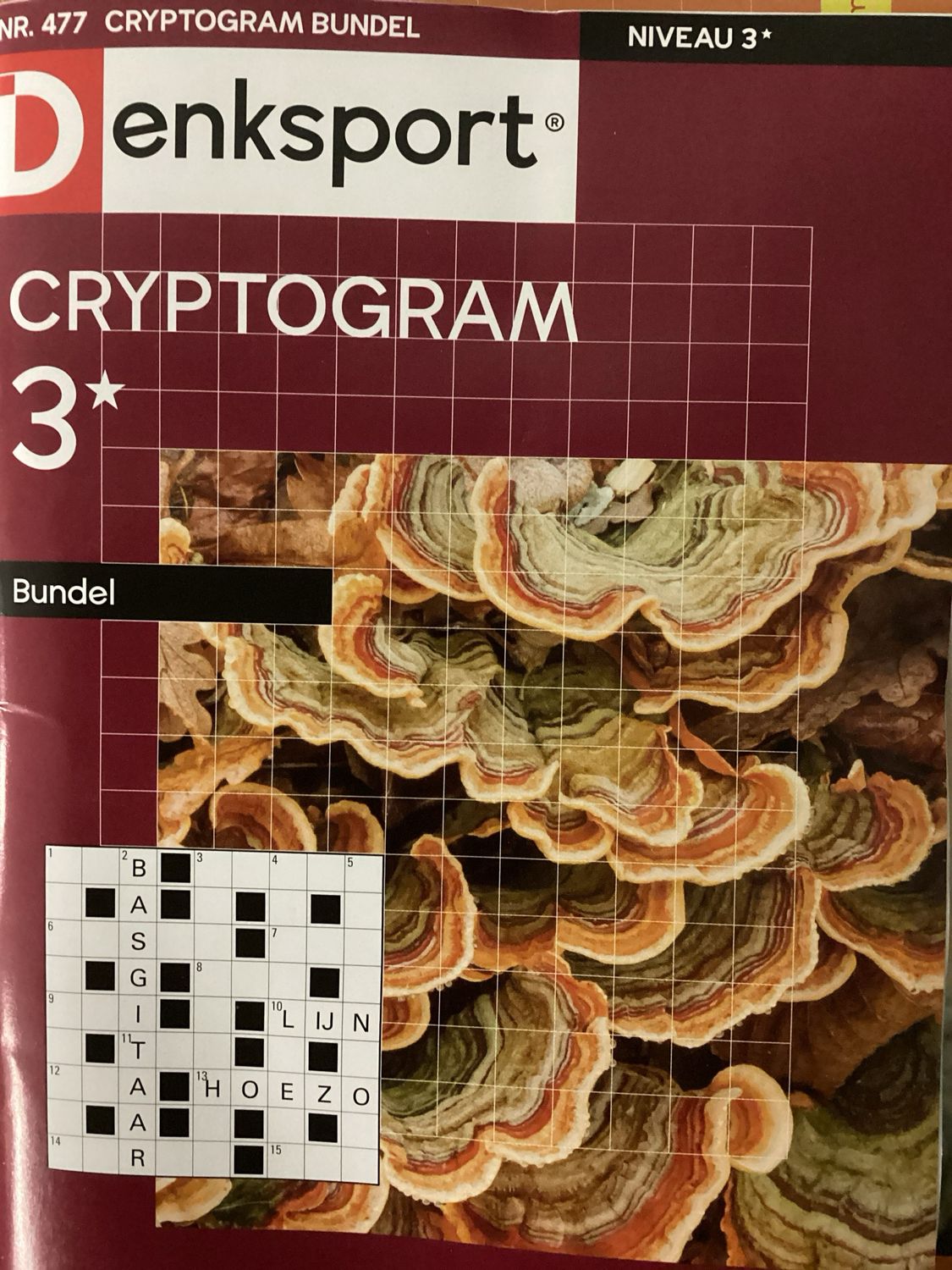 DS CRYPTOGRAMMENBUNDEL #477
