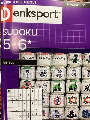 DS SUDOKU GENIUS #306