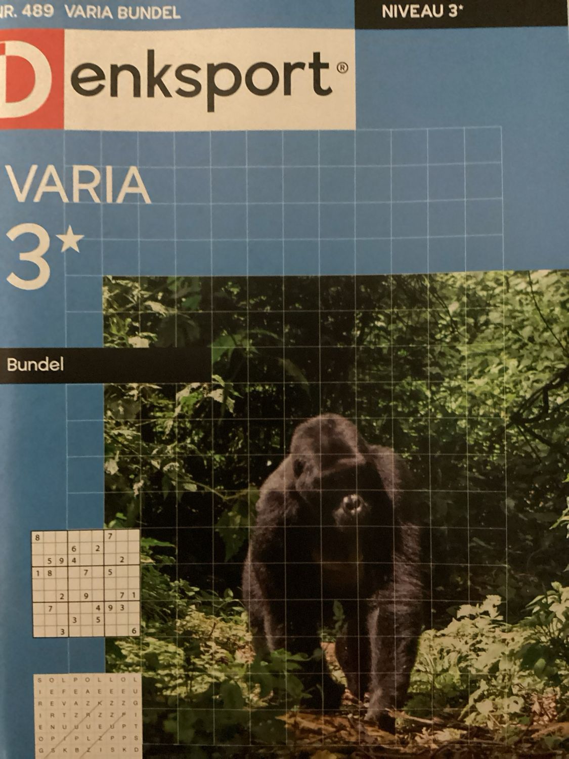DS VARIABUNDEL #489