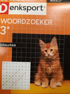 DS WOORDZOEKER SCHEURBLOK #69