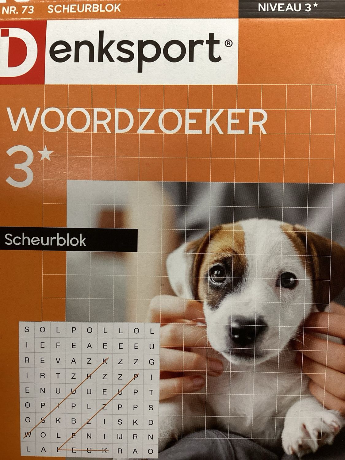 DS WOORDZOEKER SCHEURBLOK #73