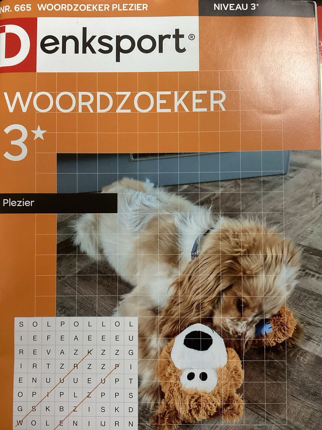 DS WOORDZOEKERPLEZIER #665