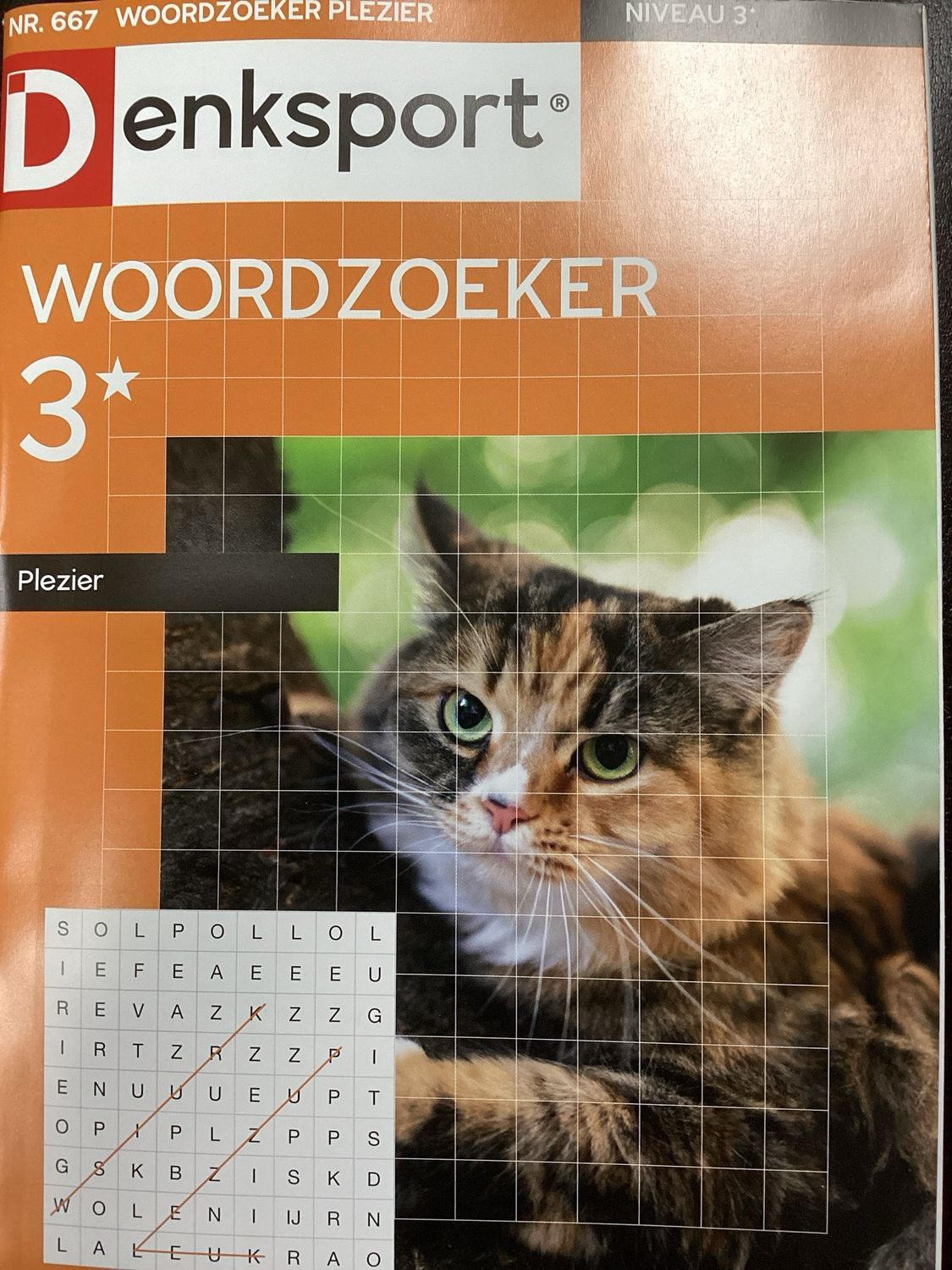 DS WOORDZOEKERPLEZIER #667