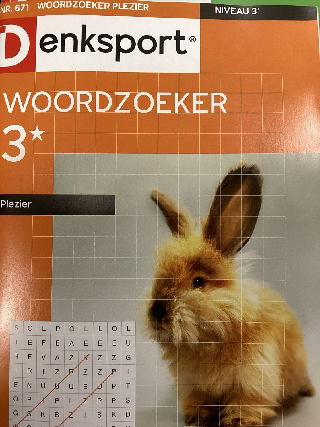 DS WOORDZOEKERPLEZIER #671