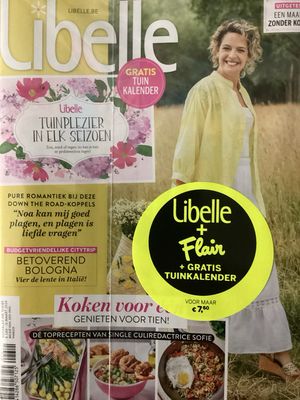LIBELLE + FLAIR VL. #11