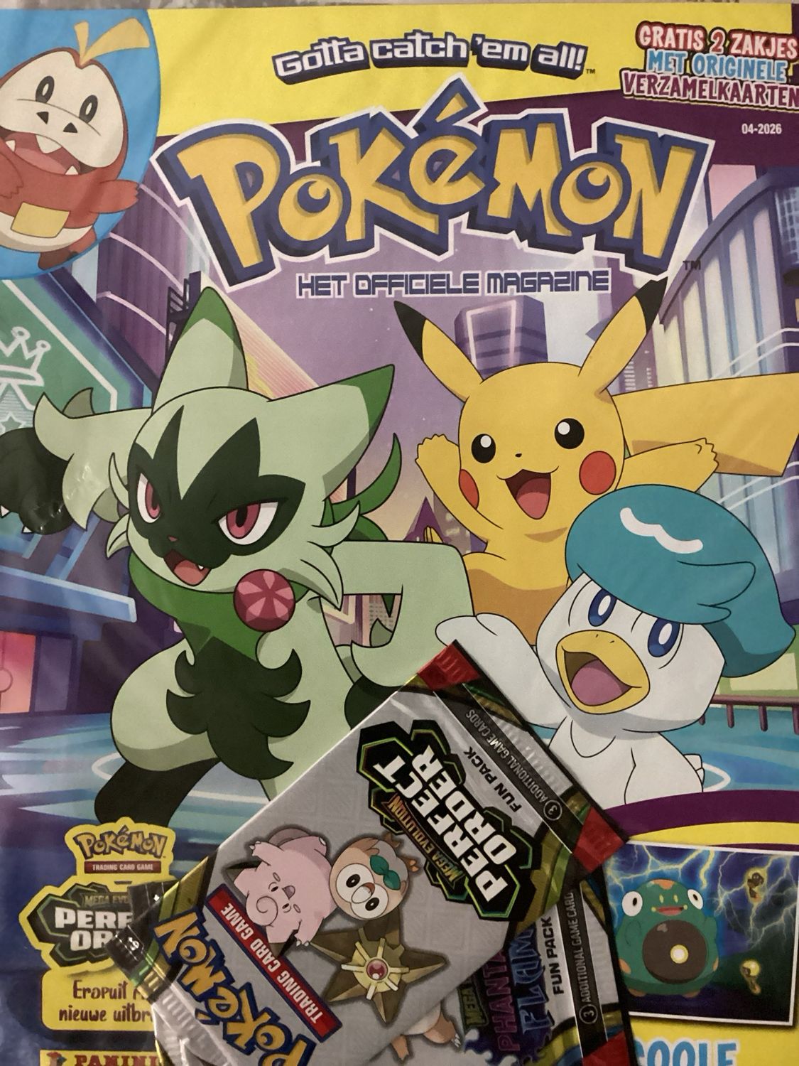 POKEMON MAG #4