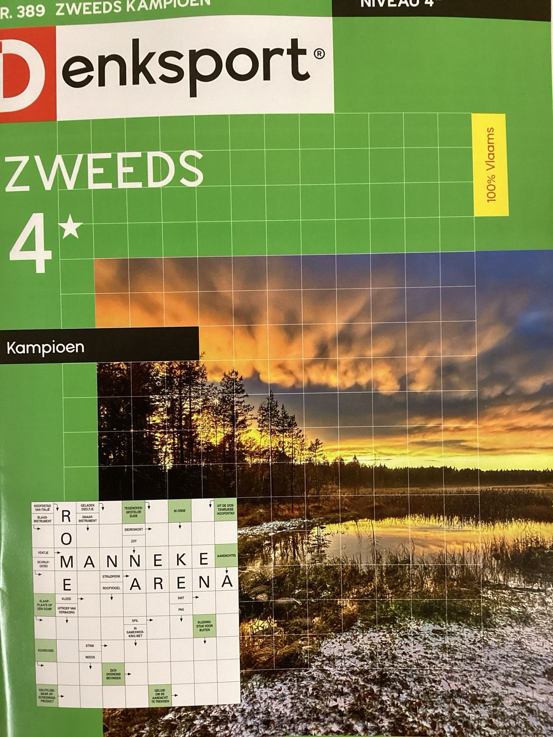 DS 4* ZWEEDS KAMPIOEN #389