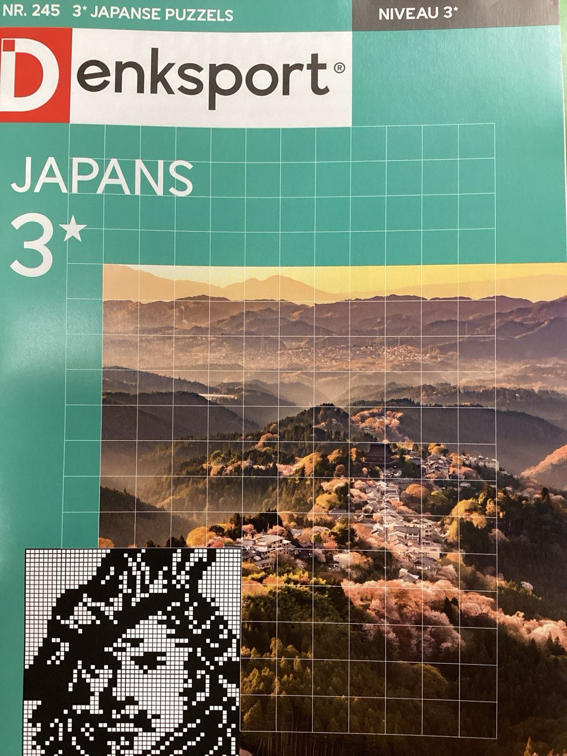 DS JAPANSE PUZZELS #245