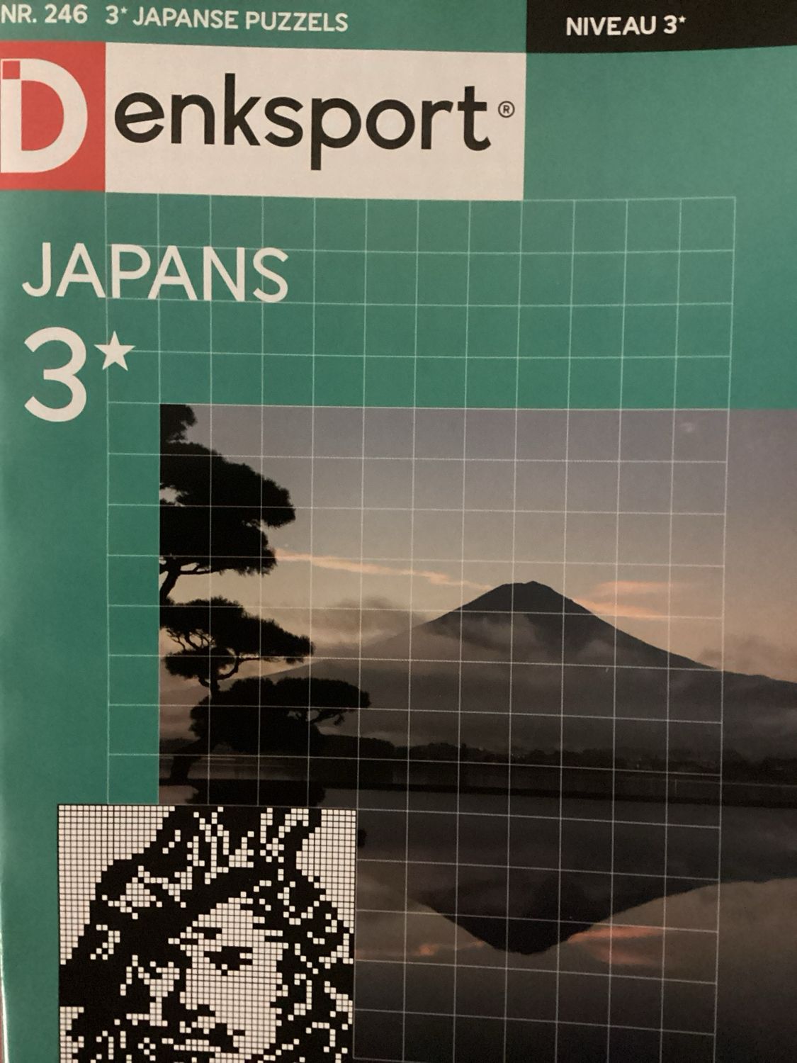 DS JAPANSE PUZZELS #246