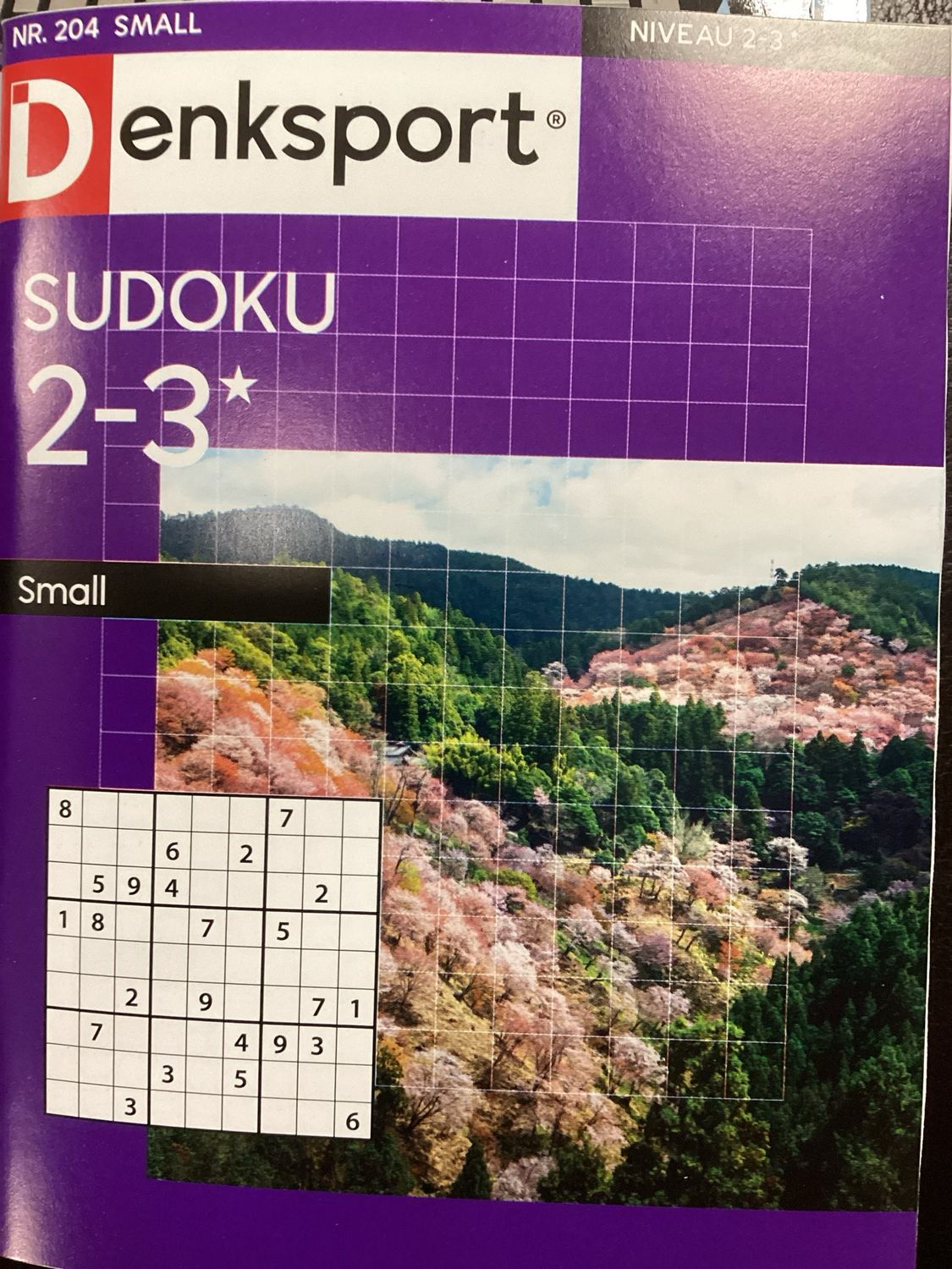 DS SUDOKU SMALL #204