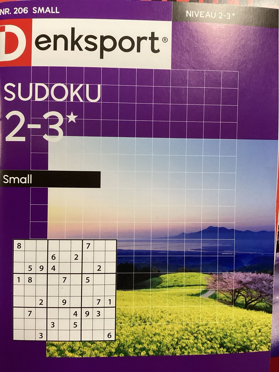 DS SUDOKU SMALL #206