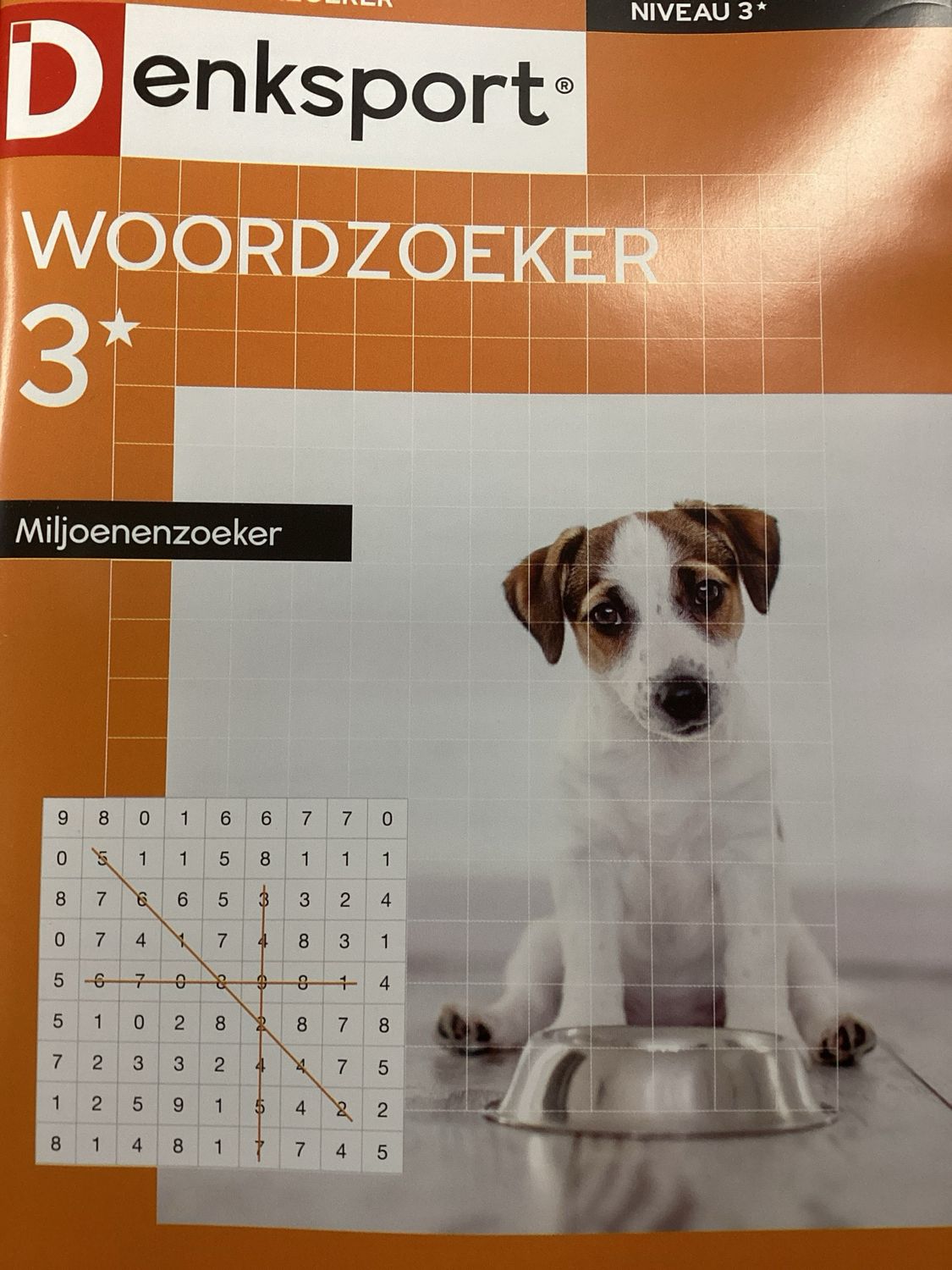 DS WOORDZOEKER MILJOEN #64