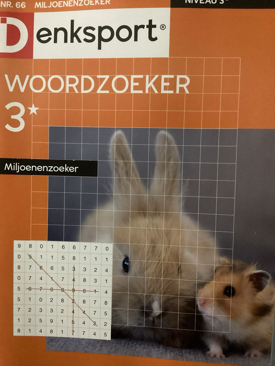 DS WOORDZOEKER MILJOEN #66