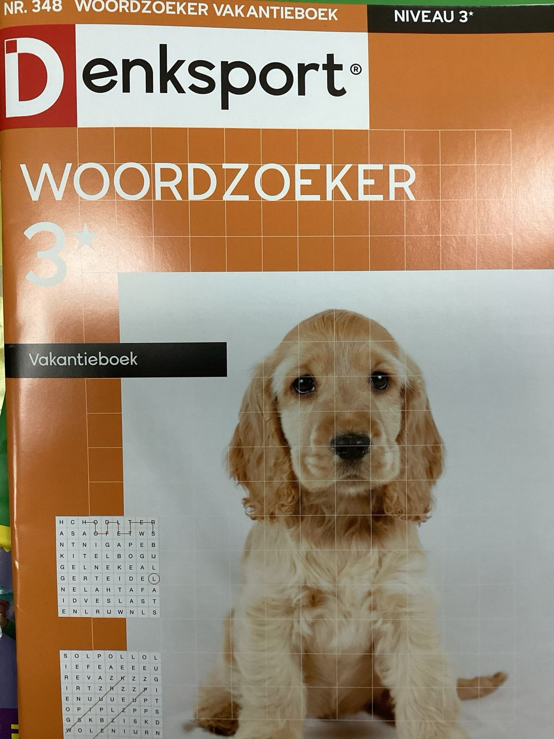 DS WOORDZOEKER VAKANTIEBO #348