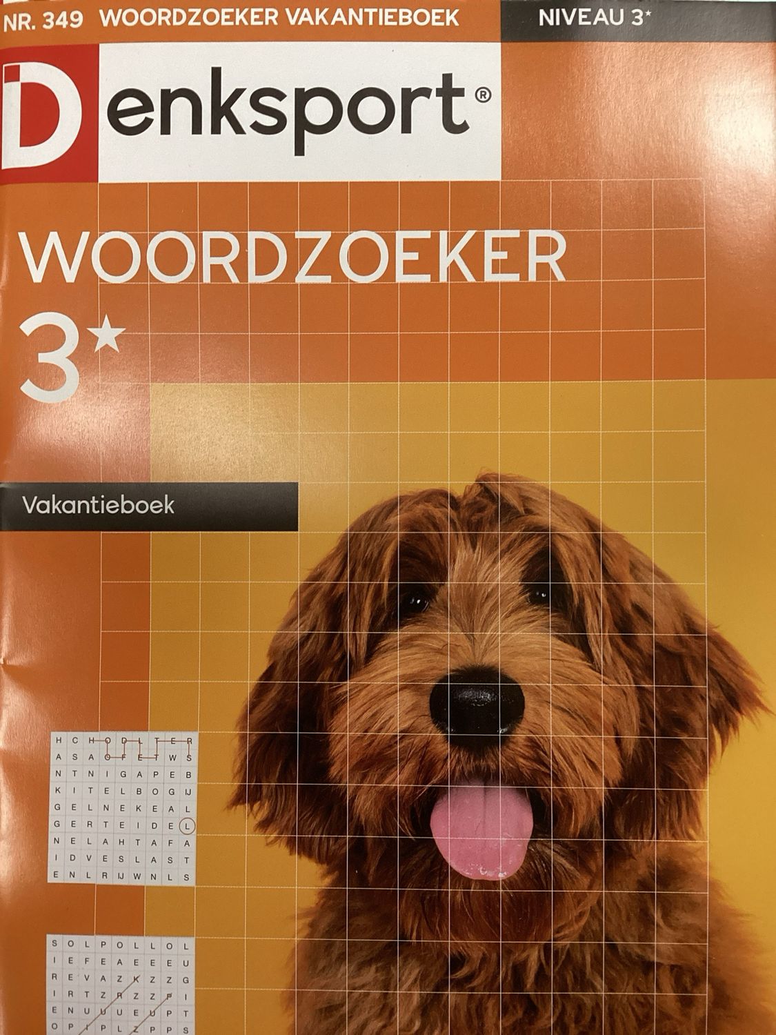 DS WOORDZOEKER VAKANTIEBO #349