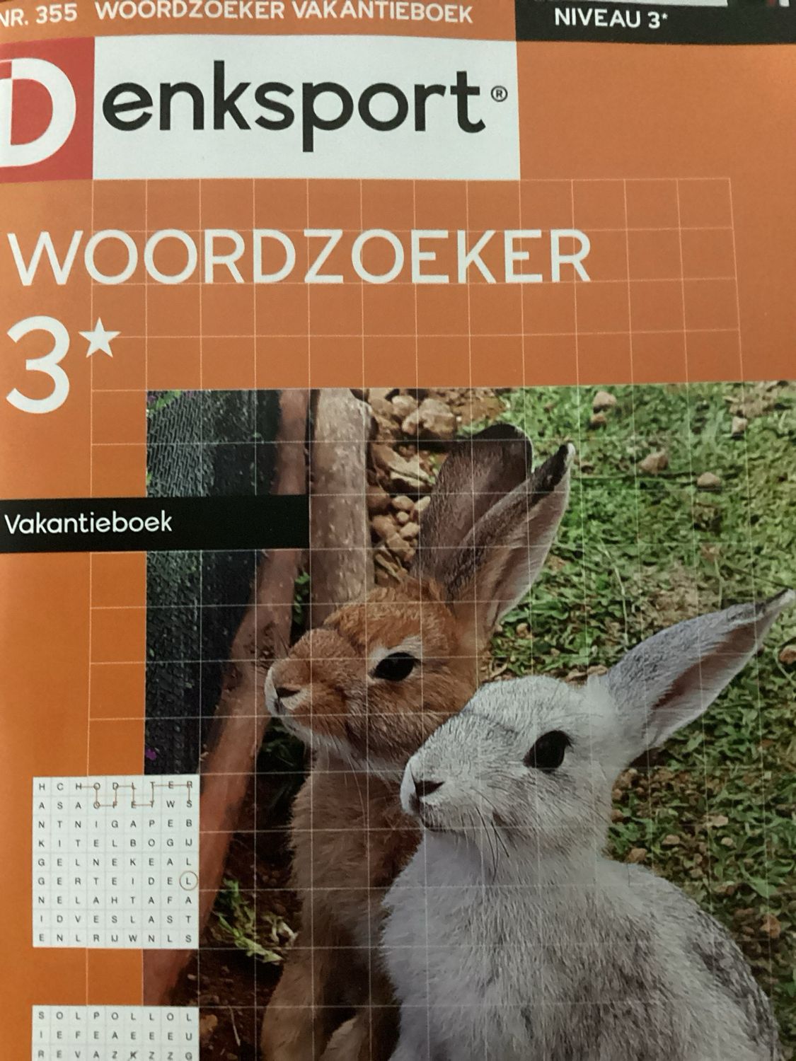 DS WOORDZOEKER VAKANTIEBO #355