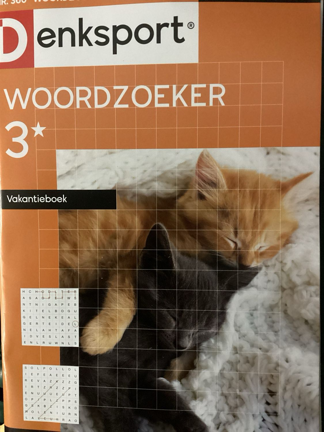 DS WOORDZOEKER VAKANTIEBO #360