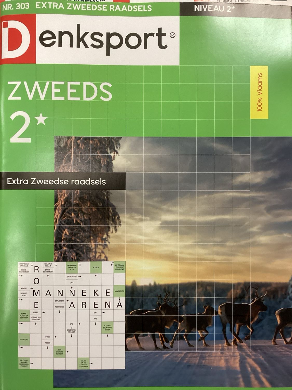 DS EXTRA ZWEEDSE RAADSELS #303