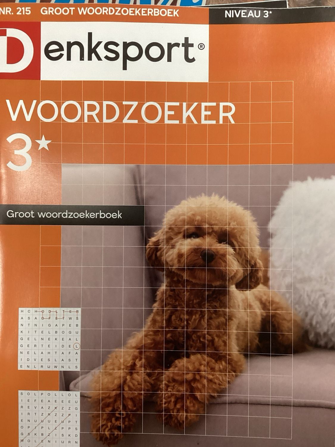 DS GROOT WOORDZOEKERBOEK #215