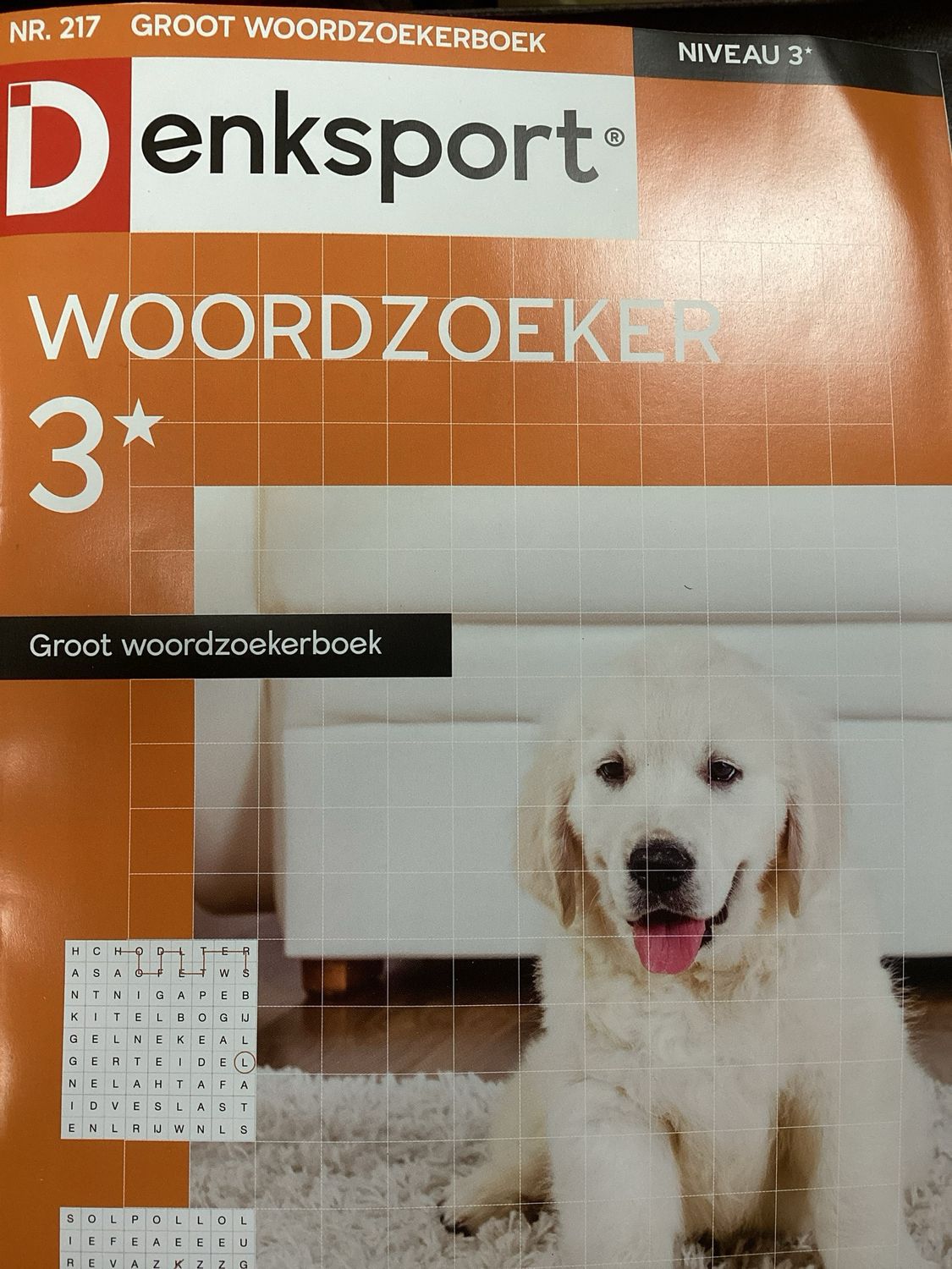 DS GROOT WOORDZOEKERBOEK #217