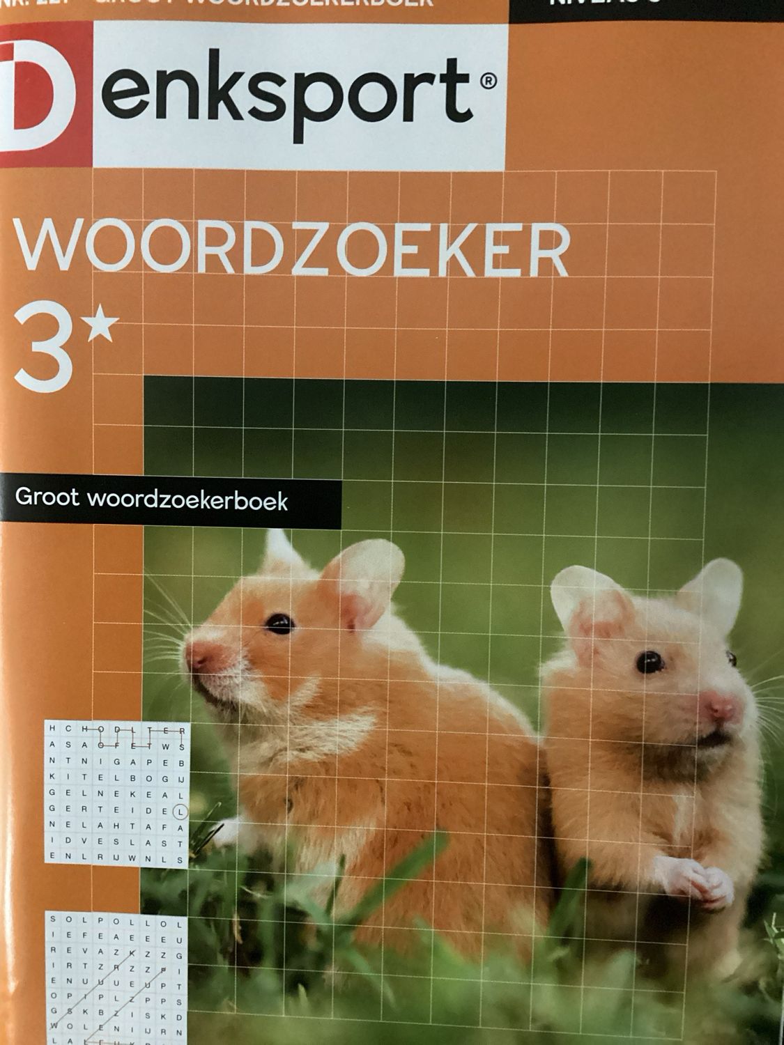 DS GROOT WOORDZOEKERBOEK #221